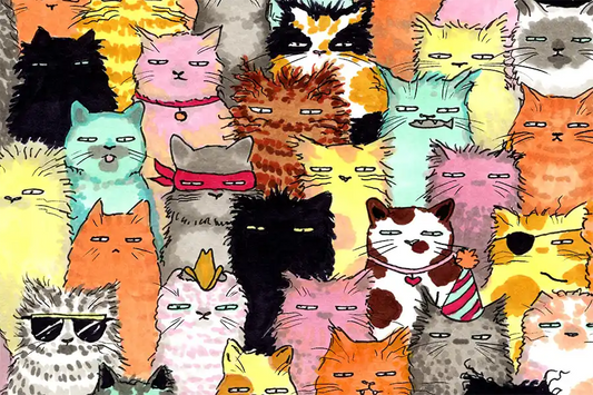 Cat School Pictures note card