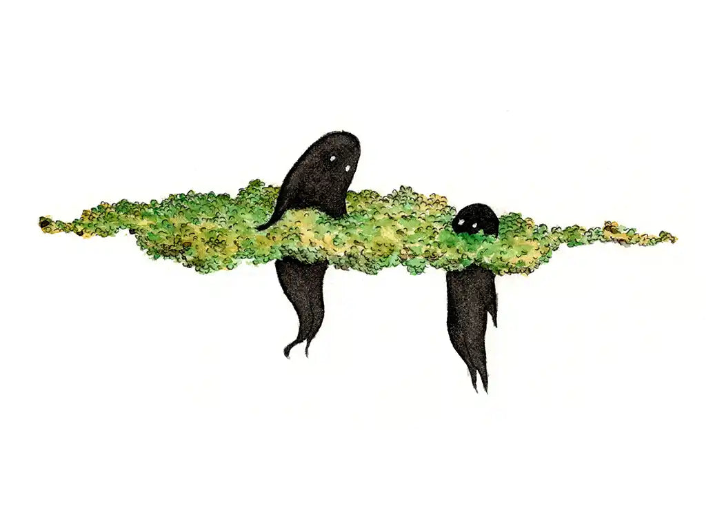 Same But Different giclee print