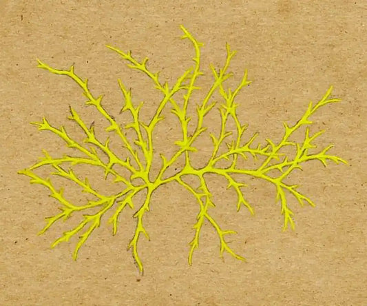 Moss postcard on natural stock